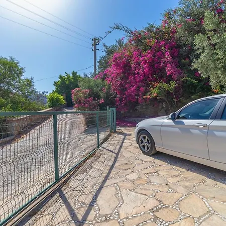 Splendid With Private Pool And Olive Grove In Marmaris * 셀리미예