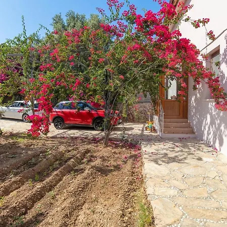 Splendid With Private Pool And Olive Grove In Marmaris فيلة